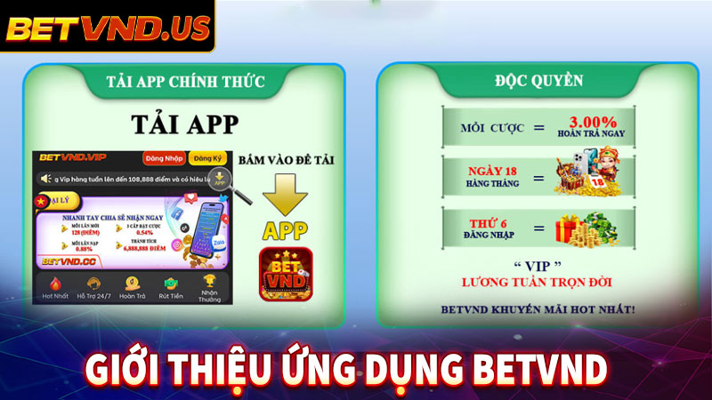 Khái quát về ứng dụng nhà cái betvnd