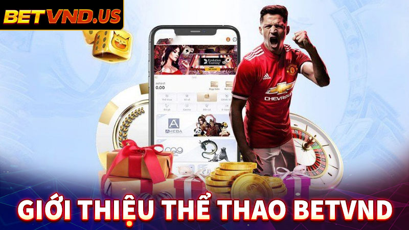 Giới thiệu dịch vụ cá cược thể thao betvnd