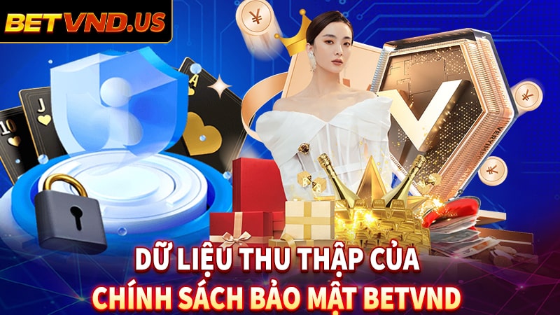 Một số dữ liệu mà chính sách bảo mật tại betvnd thu thập từ khách hàng
