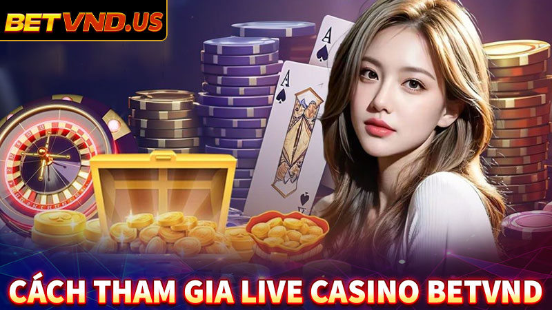 Hướng dẫn cách thức tham gia cá cược live casino Betvnd
